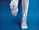 Bone Socks