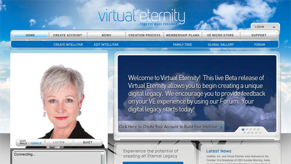 Virtual Eternity