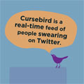 Curse Bird