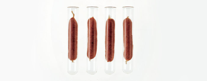 Fake Meat