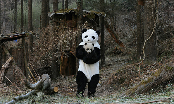 Giant Panda People