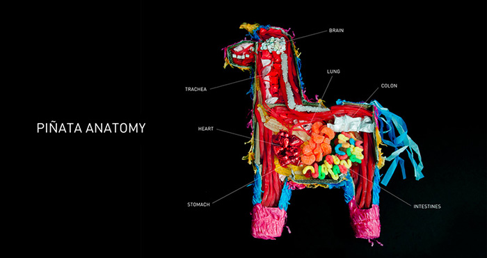 Pinata Anatomy