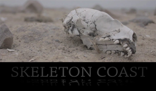 Skeleton Coast