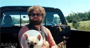 Due Date